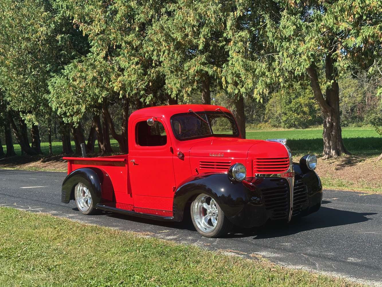 IMG_9658.jpeg IMG_9658.jpeg